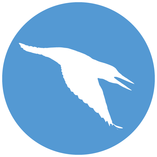 Alcedinidae