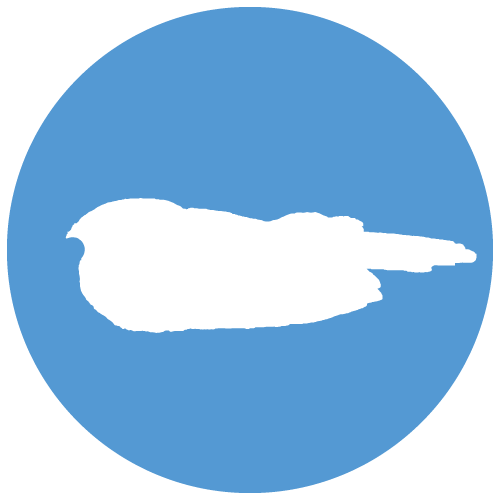 Caprimulgidae