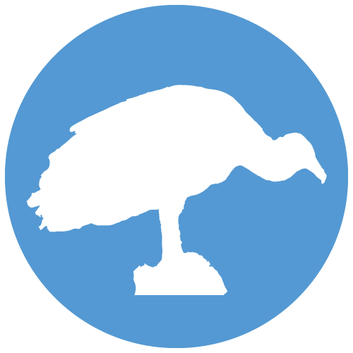 Cathartidae