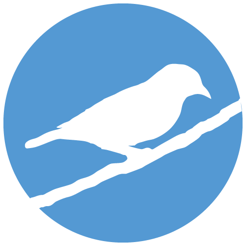 Coerebidae