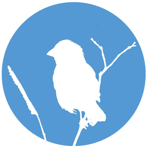 Emberizidae