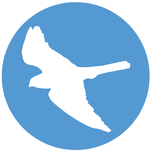 Falconidae