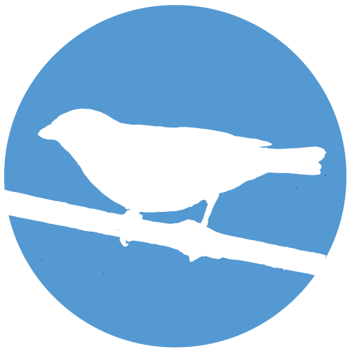 Fringillidae