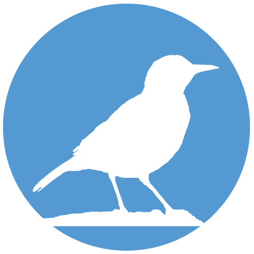 Furnariidae
