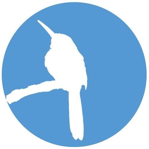 Galbulidae