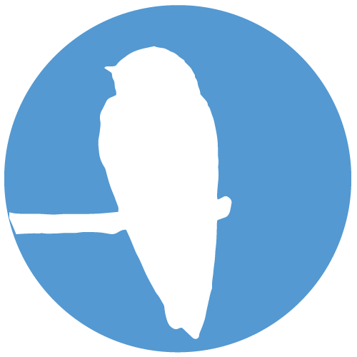 Hirundinidae