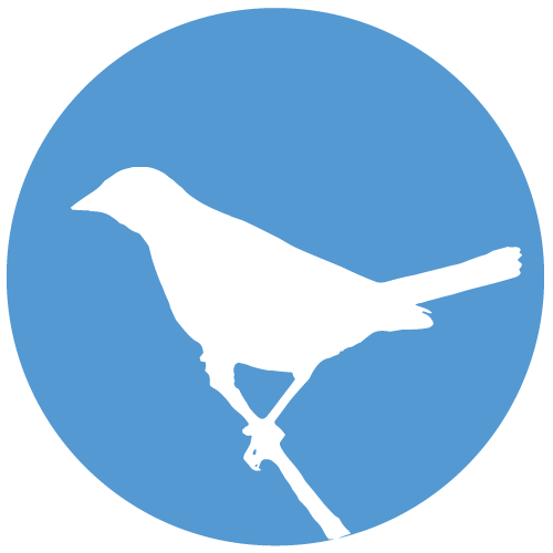 Icteridae